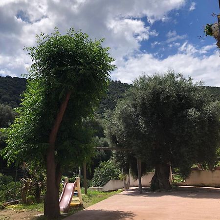 Appartamento Maremontagna Cardedu Exterior foto