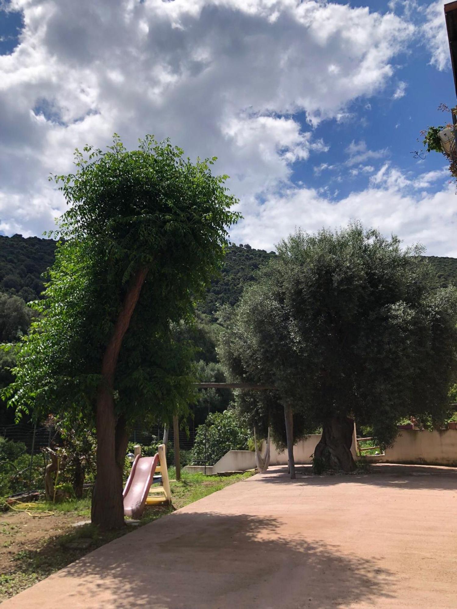 Appartamento Maremontagna Cardedu Exterior foto